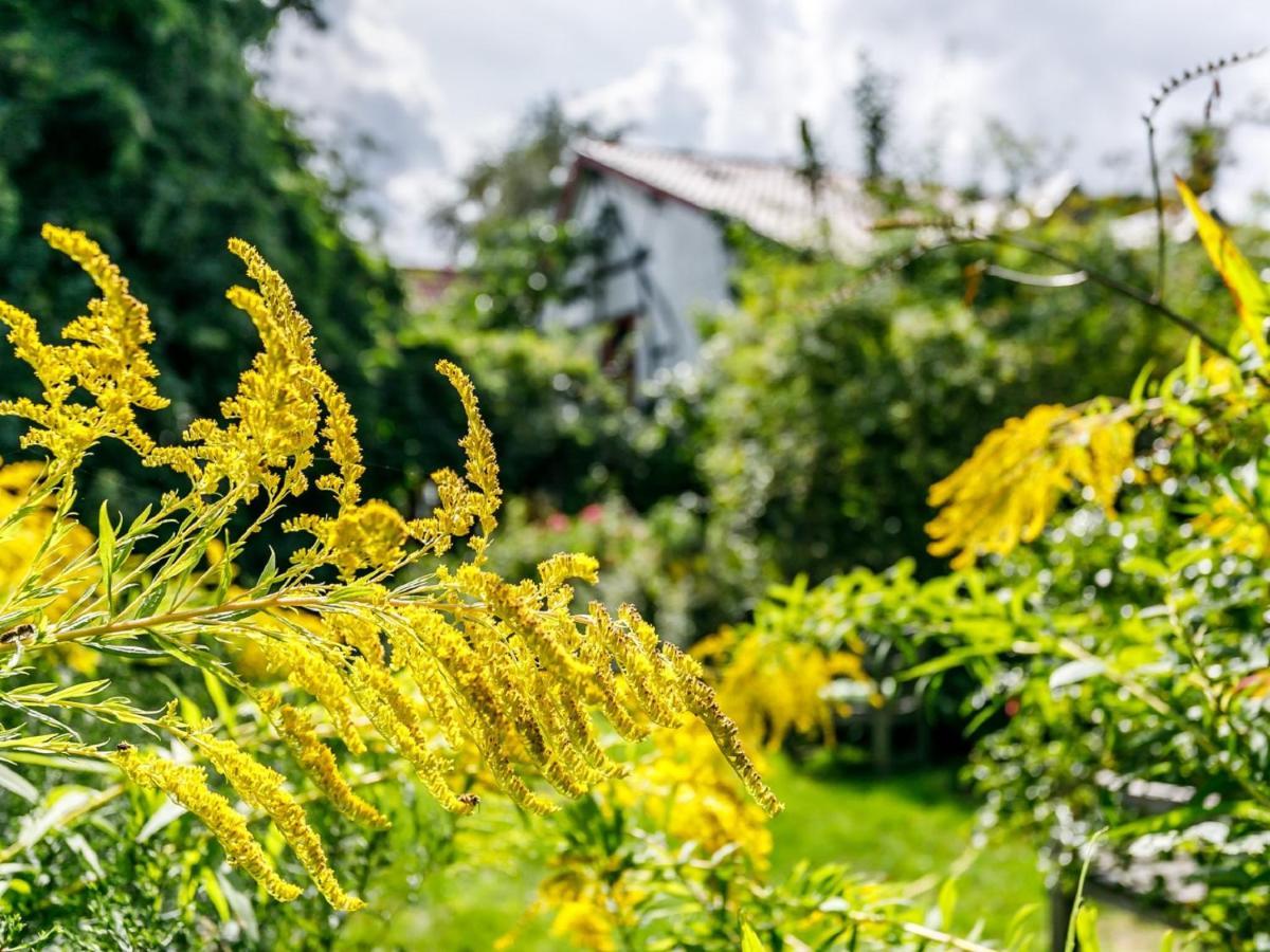 Kleebergerhofke Bed & Breakfast Mechelen Eksteriør bilde
